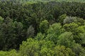 European forest, aerial view. Forest landscape in spring Royalty Free Stock Photo