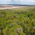 European forest, aerial view. Forest landscape in spring Royalty Free Stock Photo