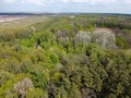 European forest, aerial view. Forest landscape in spring Royalty Free Stock Photo