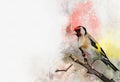 European goldfinch Carduelis carduelis sitting on branch. Watercolor illustration