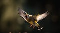 goldfinch bird is flying in forest area