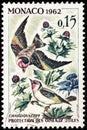 European Goldfinch Stamp