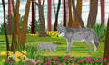 European Gray wolf and wolf cub in the forest with blooming dandelions and clover