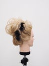 European hairstyle on the head of a mannequin on a light background Royalty Free Stock Photo