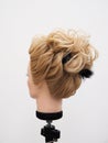 European hairstyle on the head of a mannequin on a light background Royalty Free Stock Photo