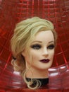 European hairstyle on the head of a mannequin on a red background. Close up Royalty Free Stock Photo