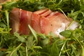 European ham called speck with green salad Royalty Free Stock Photo