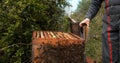 |European Honey Bee, apis mellifera, Black Bees, Beekeeper and his smoker, Bee Hive in Normandy