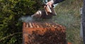 |European Honey Bee, apis mellifera, Black Bees, Beekeeper and his smoker, Bee Hive in Normandy