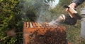 |European Honey Bee, apis mellifera, Black Bees, Beekeeper and his smoker, Bee Hive in Normandy