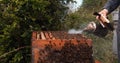 |European Honey Bee, apis mellifera, Black Bees, Beekeeper and his smoker, Bee Hive in Normandy