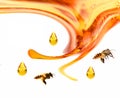 European honey bee, apis mellifera isolated on white background. Royalty Free Stock Photo