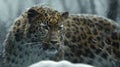 a European Ice Age leopard in a cinematic setting.