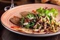 European Italian cuisine. Warm salad of veal, fried arugula, cucumber, mix lettuce, dried tomatoes, sweet peppers and cheese Royalty Free Stock Photo