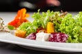 European Italian salad of lettuce, cherry tomatoes, pumpkin, edible pumpkin flowers, and pumpkin seeds, in a white plate. Royalty Free Stock Photo