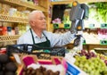 Old man cashier standing at counter in greengrocer Royalty Free Stock Photo