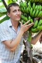 European man holds bunch of green growing bananas, banana plantation Royalty Free Stock Photo