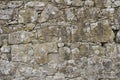 Medieval castle stone wall texture background with moss and lichens