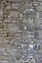 Medieval castle stone wall texture background with moss and lichens