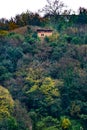 european mountains with clouds and trees and little brick house