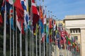 European national flags in row