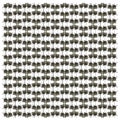 European pond turtle, Emys orbicularis, in repeated pattern