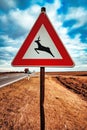 European road caution sign deer crossing Royalty Free Stock Photo