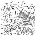 European Robin Bird Coloring Page for Kids