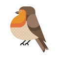 European Robin Birds Geometric Icon in Flat