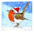 European Robin with Christmas hat