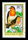 European Robin (Erithacus rubecula), Birds serie, circa 1973 Royalty Free Stock Photo
