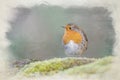 European Robin, Erithacus rubecula digital watercolour painting Royalty Free Stock Photo