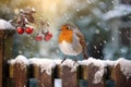 A European robin perching on a garden fence Royalty Free Stock Photo