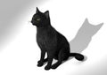 European Shorthair Black. 3D Illustration