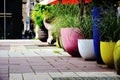 european street detail with lush green potter plans, shrubs. colorful clay flower pots Royalty Free Stock Photo