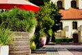 european streetscape with lush green potter plans, shrubs and evergreens. colorful clay flower pots Royalty Free Stock Photo