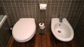 European toilet: unique style of toilet with bidet