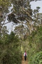 European tourist girl walking in the tropical forest in the mountains