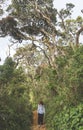 European tourist woman walking in the tropical forest in the mountains