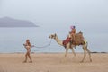 European tourists ride their children on a camel in the resort city of Sharm El Sheikh near the Red Sea in Egypt Royalty Free Stock Photo