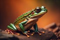 European tree frog, Hyla arborea isolated on solid colour background. ai generative