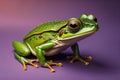 European tree frog, Hyla arborea isolated on solid colour background. ai generative