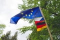 European Union EU flag in forest nature outdoor tree, czech german border