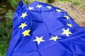 European Union EU flag in forest nature outdoor tree, czech german border