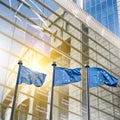 European union flag against parliament in Brussels Royalty Free Stock Photo