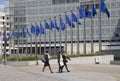 European Union Flags in Brussels Royalty Free Stock Photo