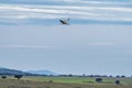 European white stork, Ciconia ciconia flying at Los Barruecos, Malpartida de Caceres, Extremadura, Spain Royalty Free Stock Photo