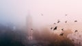 Europian city center covered in fog or mist with doves