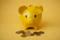 euros coins in front of yellow piggy bank on yellow background Royalty Free Stock Photo