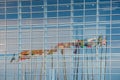 Eurozone flags reflectig in EU Parliament building Royalty Free Stock Photo